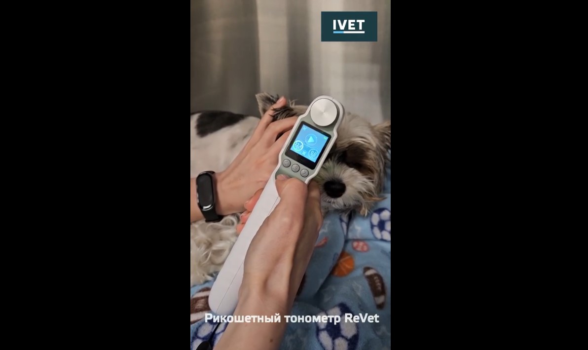 Рикошетный тонометр ReVet