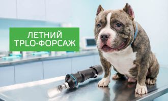 Пила для TPLO - специальное предложение!