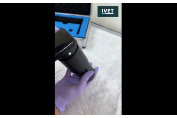 Портативная фундус-камера iVet