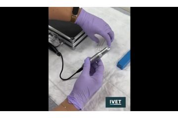 Ветеринарный офтальмологический бор