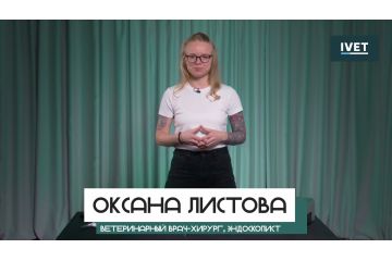 Ультразвуковые хирургические системы iVet | обзор Оксаны Листовой