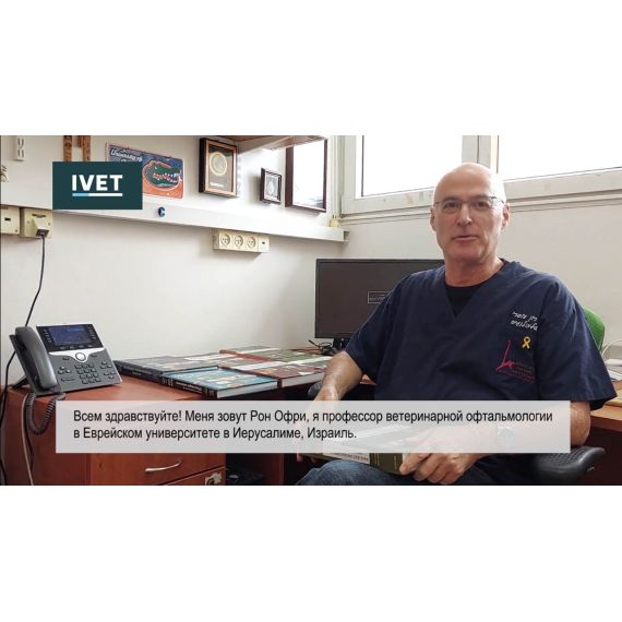 Рон Офри с приветственным словом к русским читателям