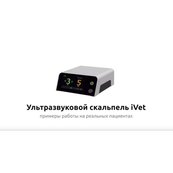 Ультразвуковой скальпель iVet | примеры работы на реальных пациентах