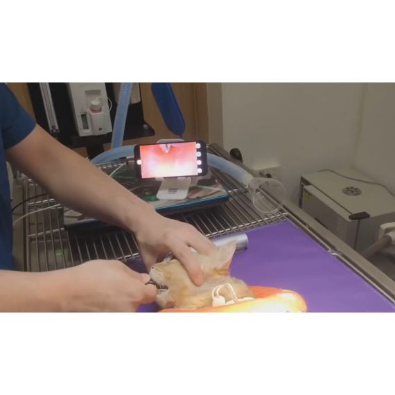 Портативный одноразовый эндоскоп