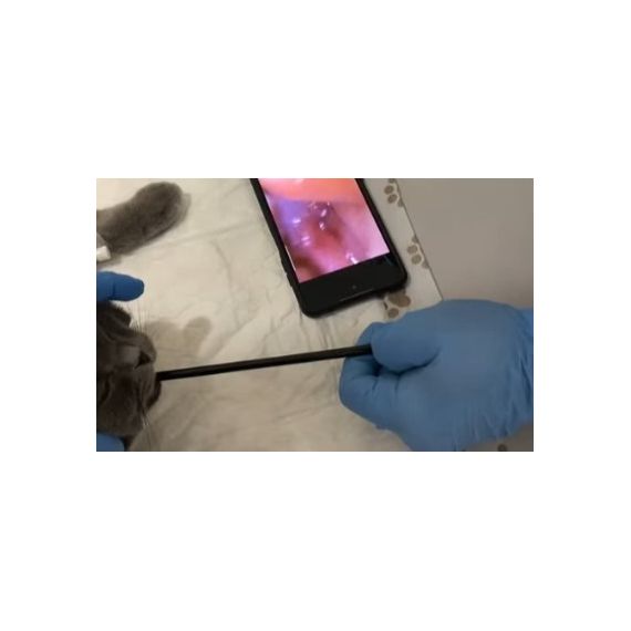 Портативный одноразовый эндоскоп